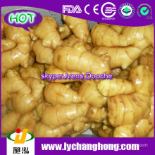 2014 New Crop Ginger Root Market Price